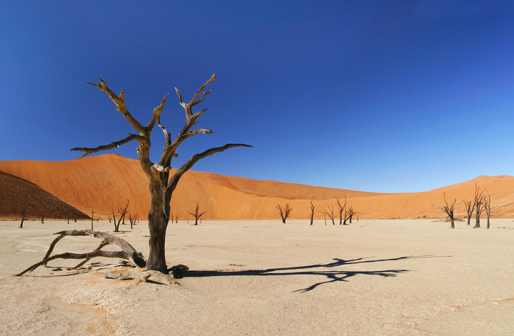 Deserts - Exploring Extreme Environments