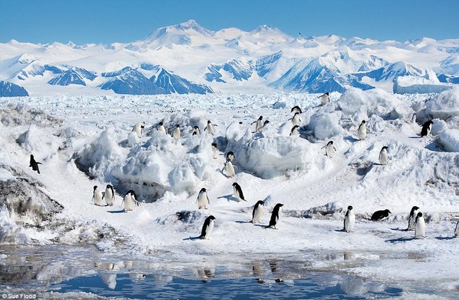 Polar Regions - Exploring Extreme Environments